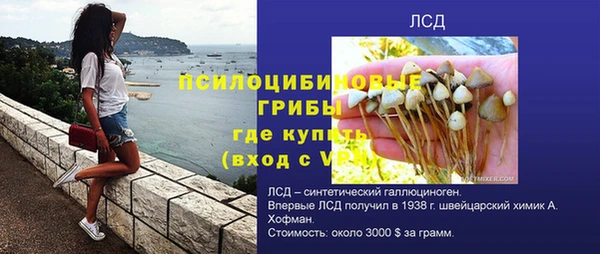 спиды Абинск