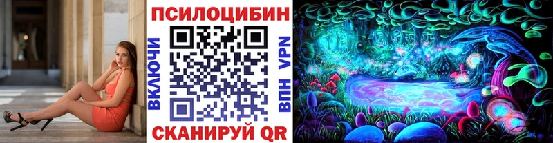 hydra   Княгинино  Псилоцибиновые грибы мухоморы 