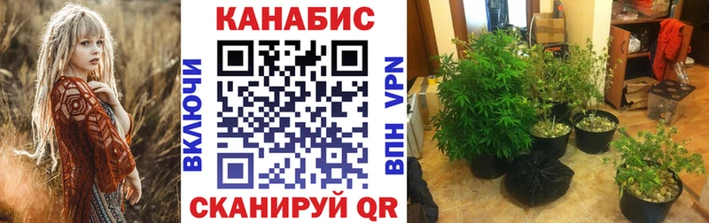 гидра ONION  Княгинино  МАРИХУАНА LSD WEED 
